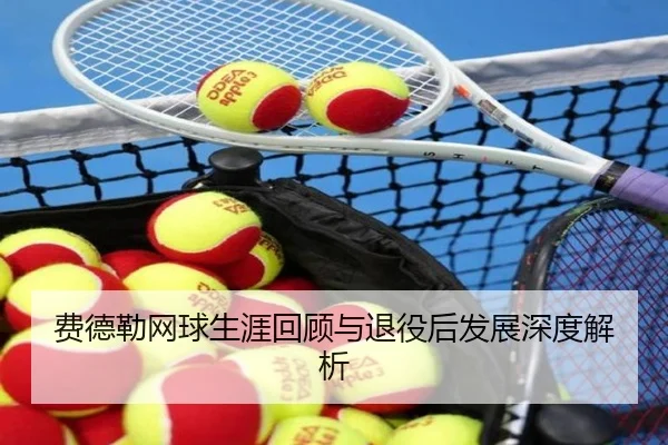 费德勒网球生涯回顾与退役后发展深度解析